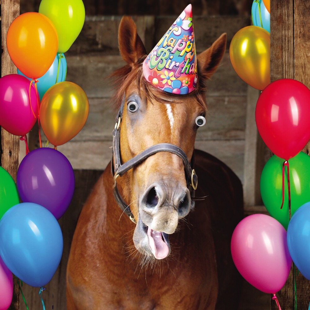 zum 40. geburtstag zitate